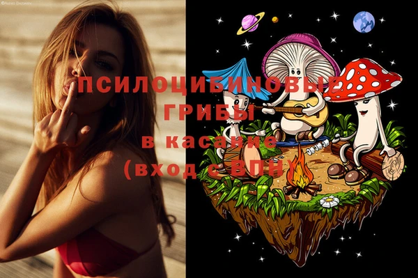 кокс Нягань