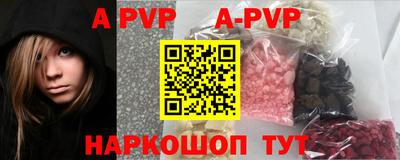 спайс Кингисепп