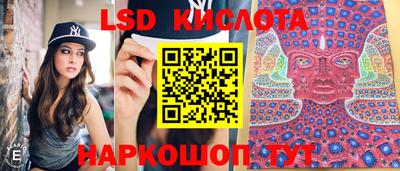 спайс Кингисепп