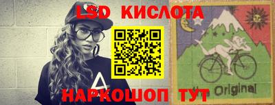 спайс Кингисепп