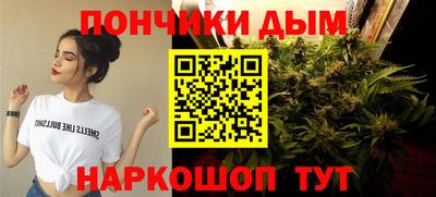 спайс Кингисепп