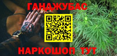 спайс Кингисепп