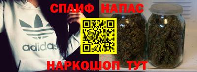 спайс Кингисепп