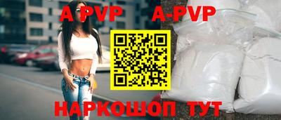 спайс Кингисепп