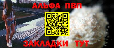 спайс Кингисепп