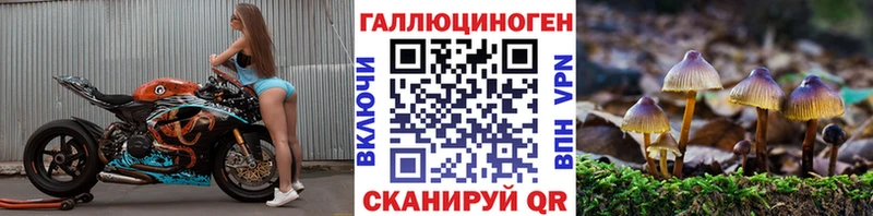 мега вход Краснознаменск Галлюциногенные грибы мухоморы закладка
