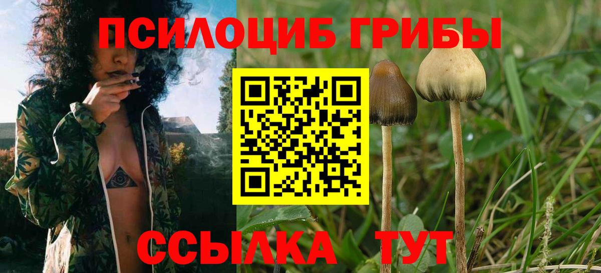 Галлюциногенные грибы прущие грибы  Вход с VPN  закладка  Псилоцибиновые грибы ЛСД  Краснознаменск 